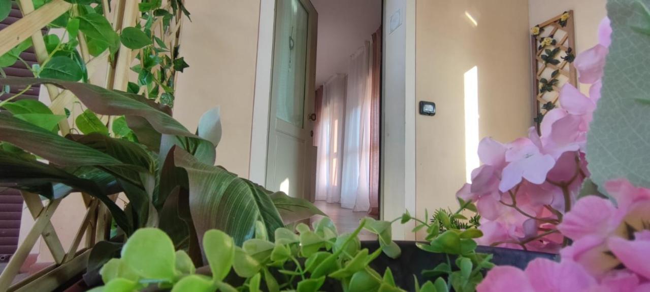 Il Tetto Dei Sogni Apartment Pistoia Exterior foto